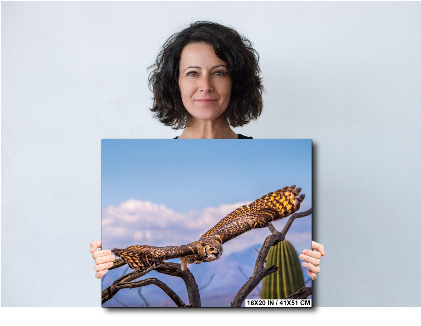 Great Horned Owl Arizona Desert Landscape Saguaro Cactus Wildlife Bird Photography Print Canvas Metal Acrylic Wall Art