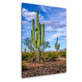 Tall Saguaros in the Sonoran Desert, Casa Grande Arizona, Photography Wall Art