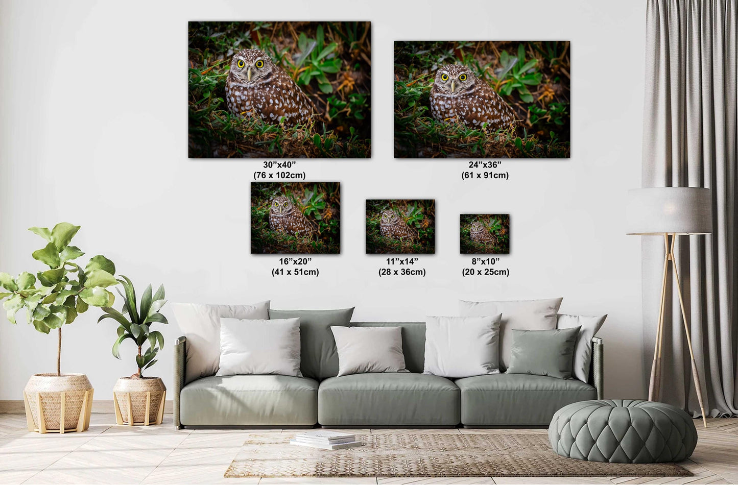 Burrowing Owl with Bright Eyes – The Watchful Guardian of Cape Coral The Americas Print Wall Art Photography Aluminum/Acrylic/Metal/Canvas