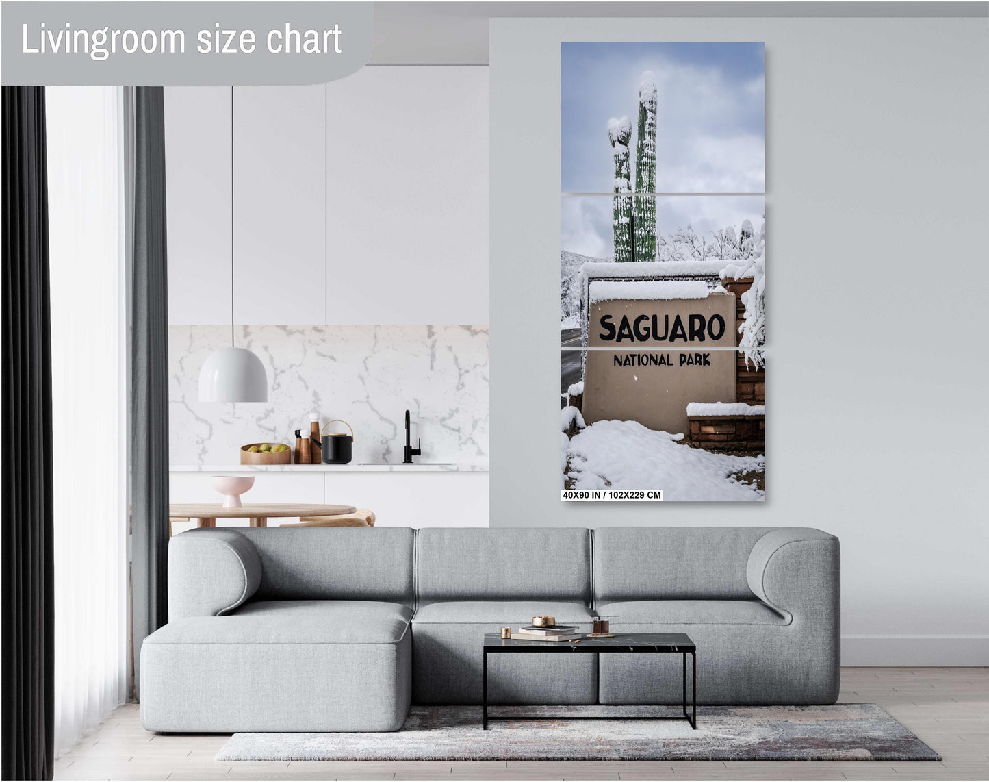 Saguaro National Park Wall Art – Snowy Desert Landscape | Tucson Arizona Decor