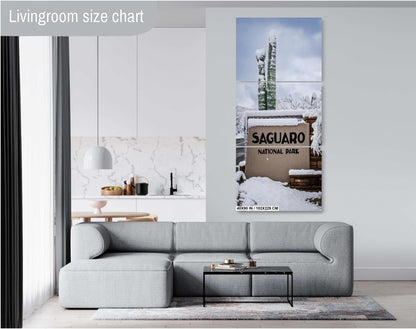 Saguaro National Park Wall Art – Snowy Desert Landscape | Tucson Arizona Decor