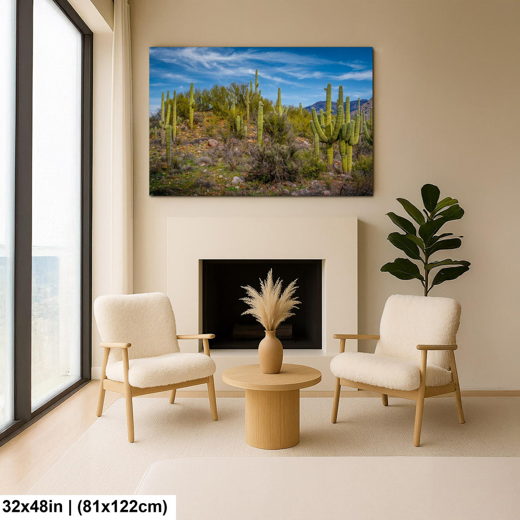 Sonoran Desert Hillside with Saguaros - Catalina State Park Tucson Arizona Photography Print
