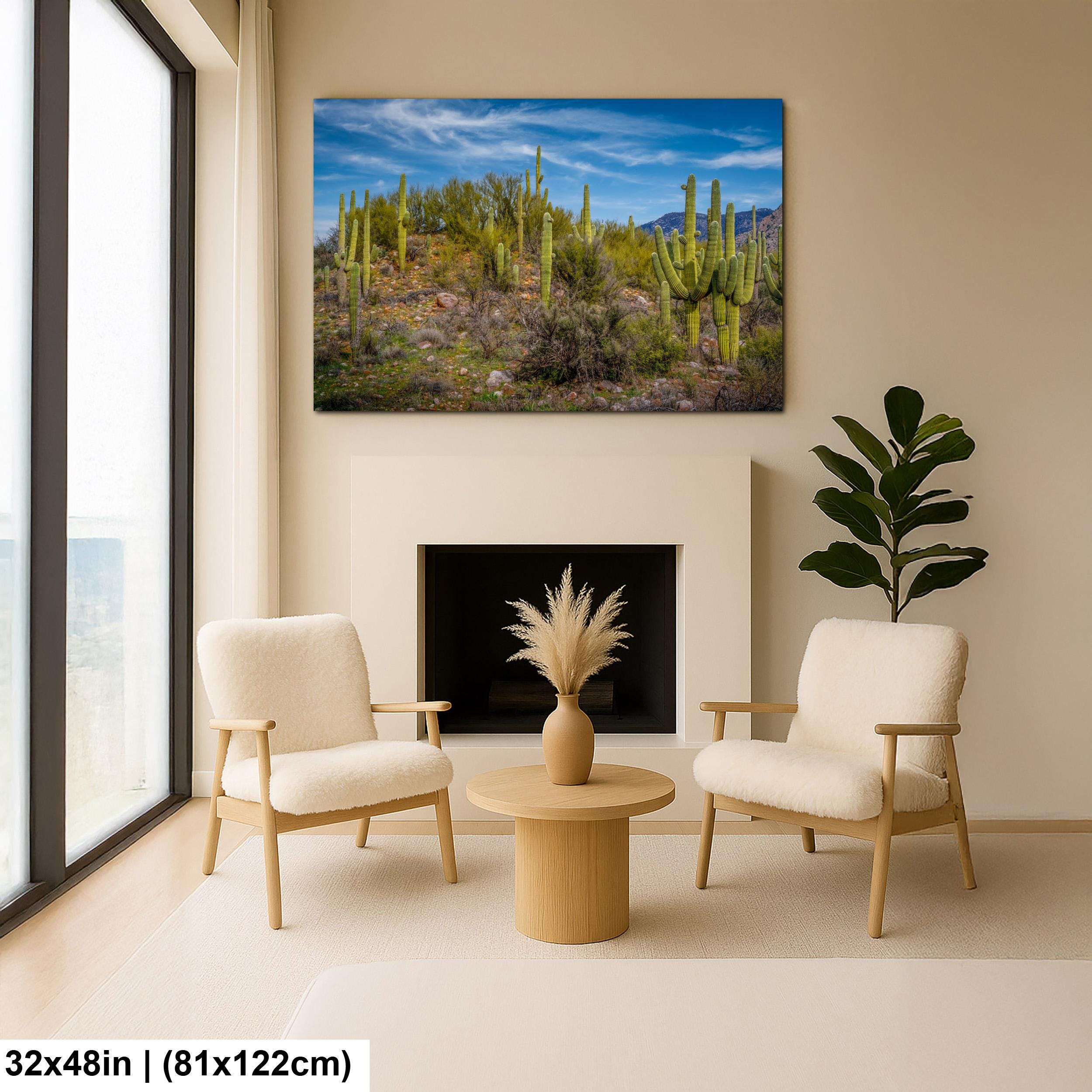 Sonoran Desert Hillside with Saguaros - Catalina State Park Tucson Arizona Photography Print