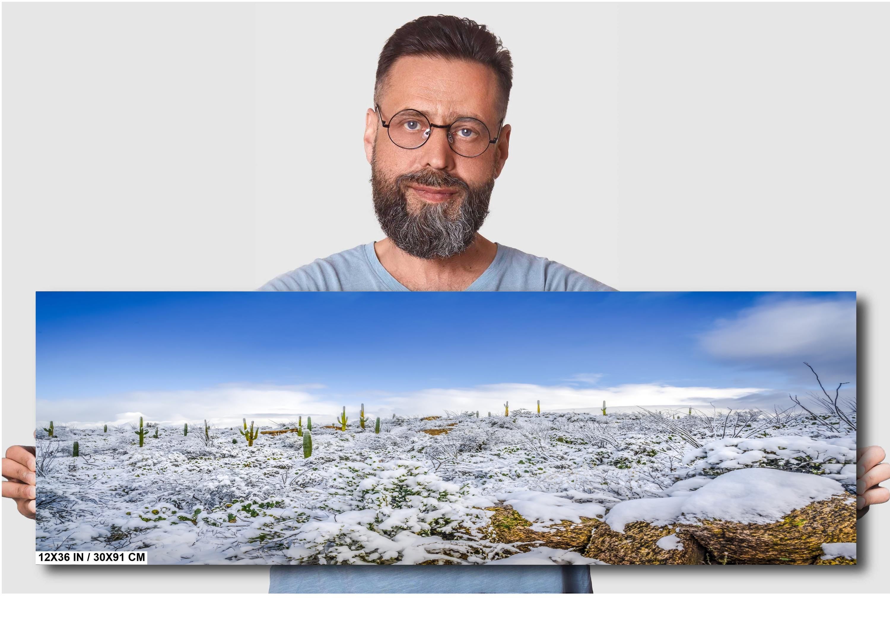 Saguaro National Park Winter Snow Photography Print