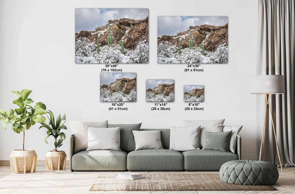 Saguaro National Park Winter Print: Tucson Arizona Desert Snow Scene