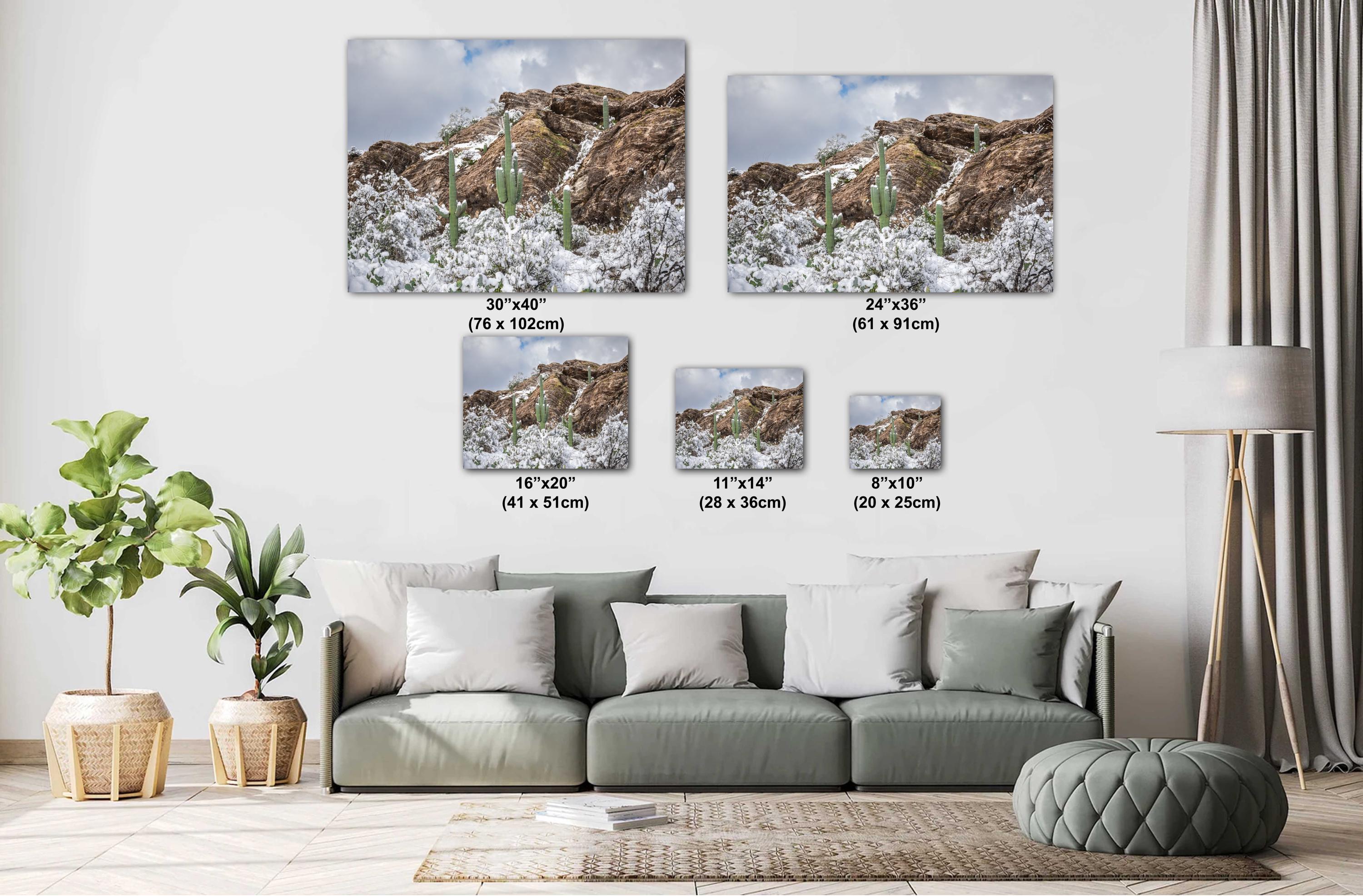 Saguaro National Park Winter Print: Tucson Arizona Desert Snow Scene