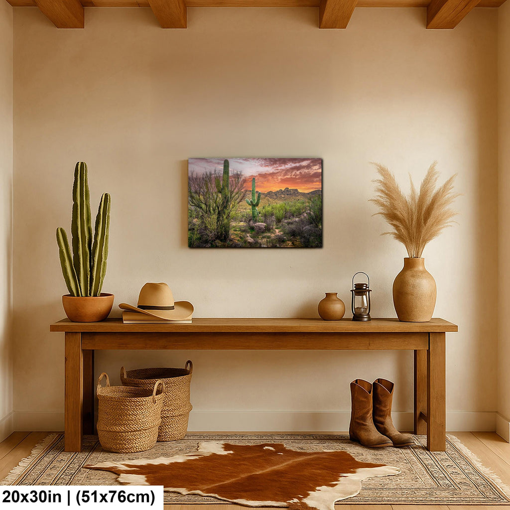 Sonoran Desert Sunset with Saguaros - Catalina State Park Tucson Arizona Photography Print