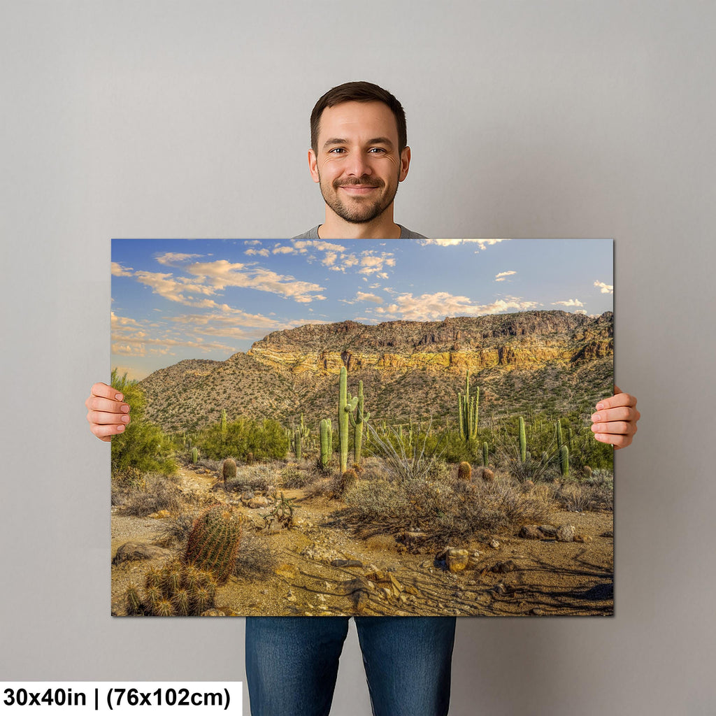 Sonoran Desert Saguaros and Mountain Ridge Arizona Photography Print, Southwest Wall Art