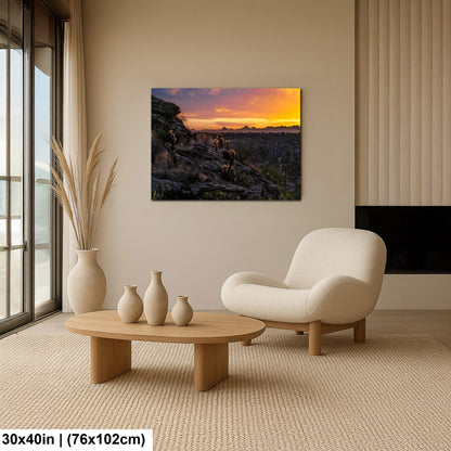 Sonoran Desert Sunset with Cholla and Saguaros - Casa Grande Arizona Photography Print