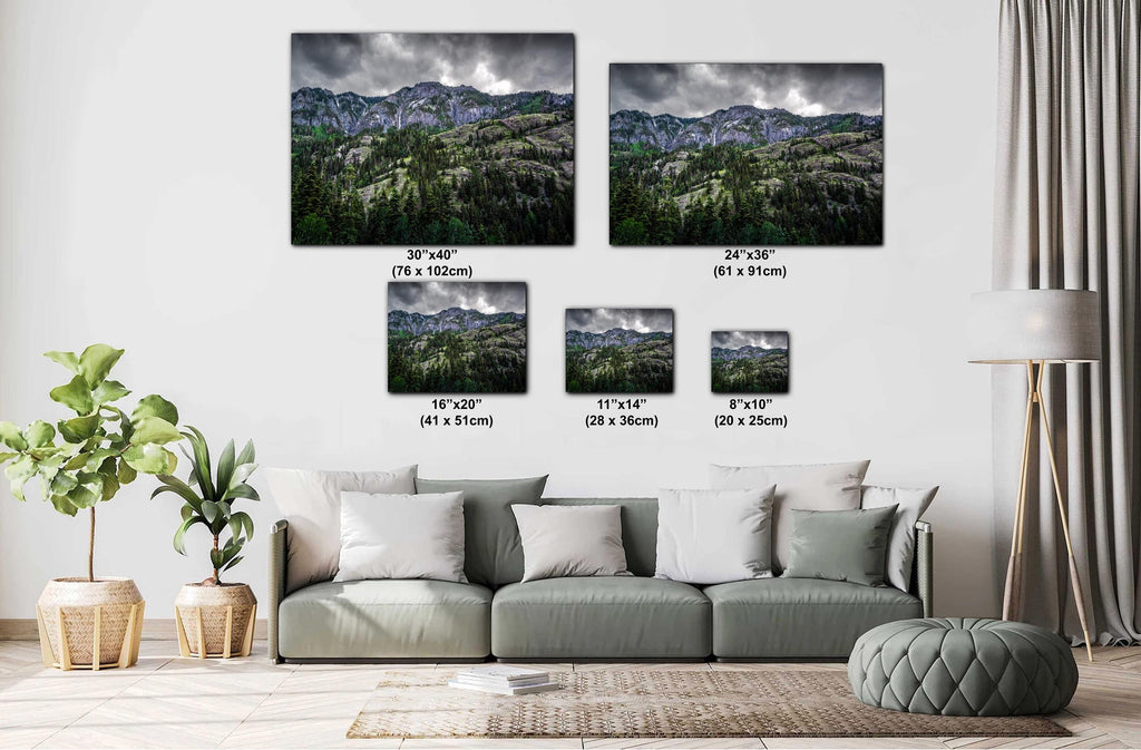 Ouray Colorado Forest Print: San Juan Mountains Landscape Photography