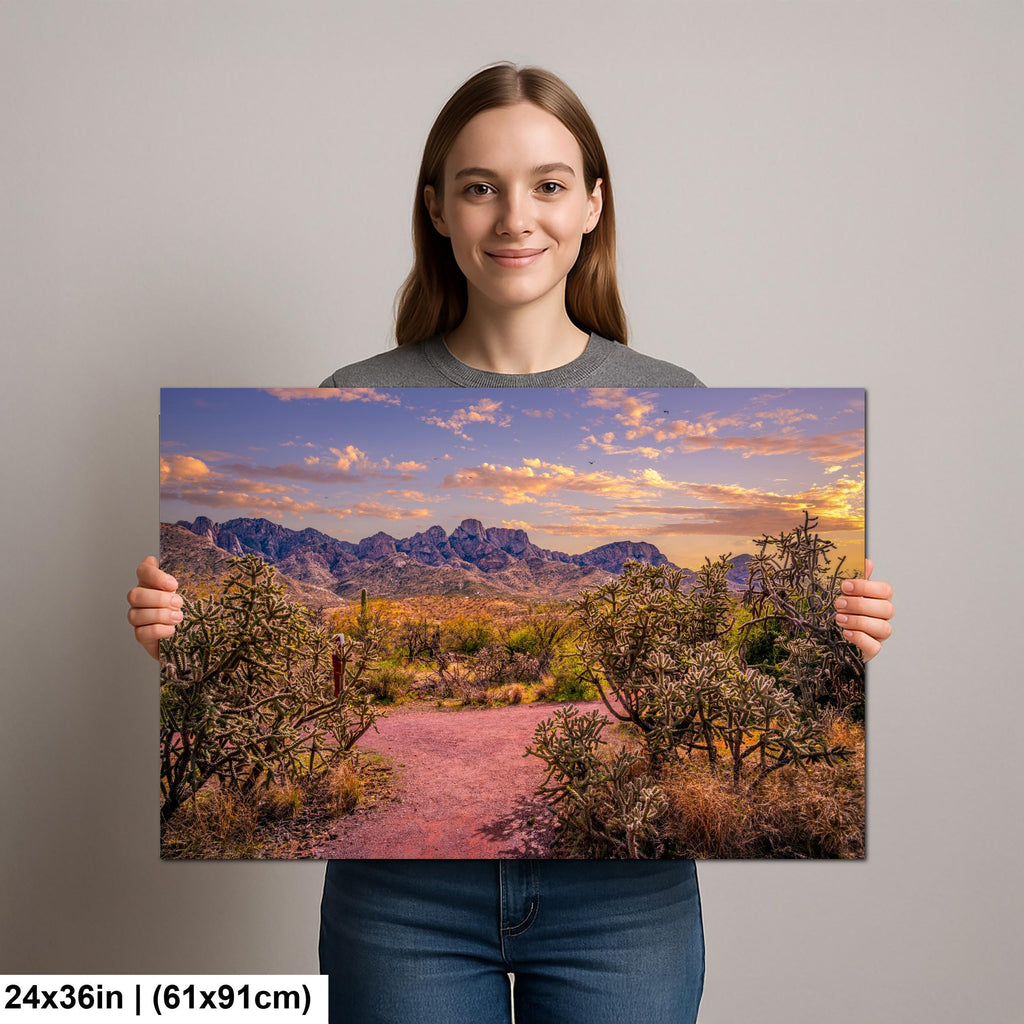 Sonoran Desert Trail Through Cholla Cactus - Tucson Arizona Mountain Sunset Photography Print