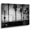 Palm Silhouettes: Pier Plaza Huntington Beach California Photo Wall Art
