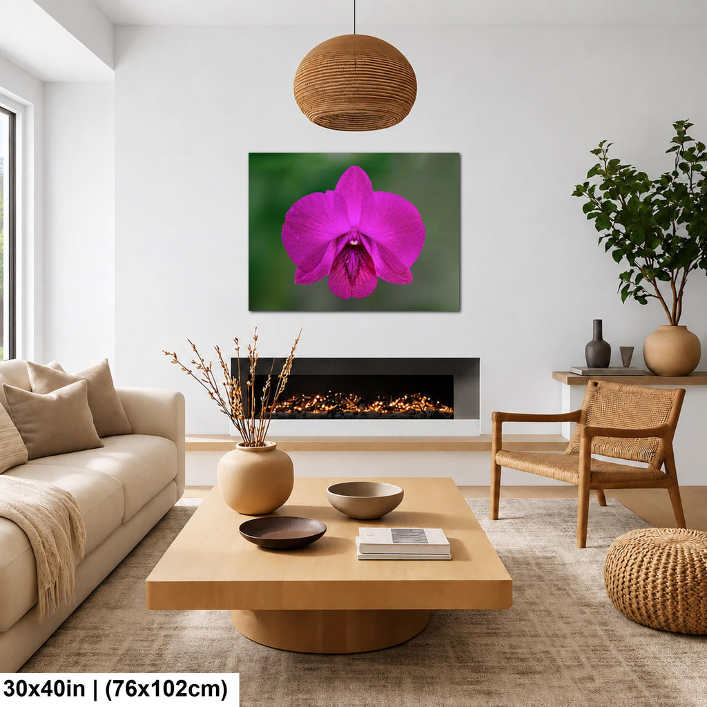 Violet Beauty: Purple Orchid Flower Botanical Floral Photography Wall Art
