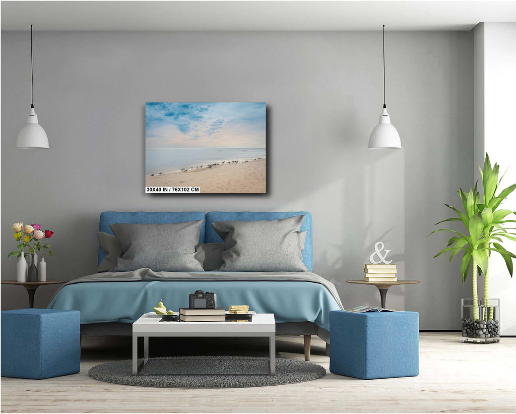 Birds on Perdido Key Beach: Florida Seascape Print Wall Art Coastal Wildlife Photography Aluminum/Acrylic/Metal/Canvas Home Decor