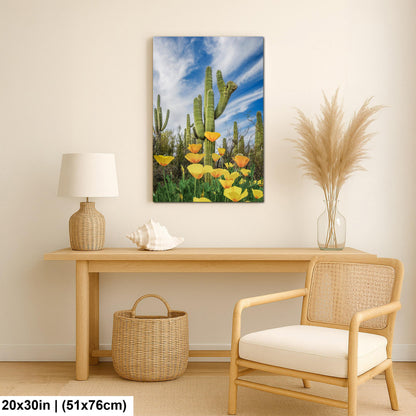 Mexican Gold Poppies Beneath Saguaros - Catalina State Park Tucson Arizona Photography Print