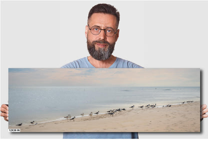 Birds on Perdido Key Beach: Florida Seascape Print Wall Art Coastal Wildlife Photography Aluminum/Acrylic/Metal/Canvas Home Decor