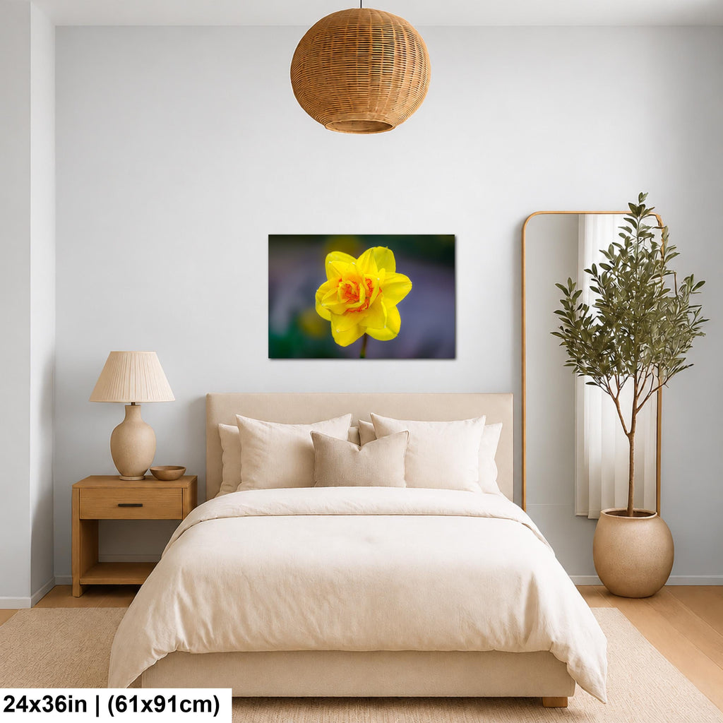 Golden Ruffles: Yellow Daffodil Flower Botanical Photography Wall Art