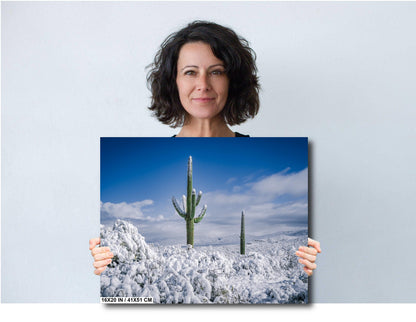 Saguaro Cactus Wall Art – Snowy Desert Scene | Southwest Art Print Decor
