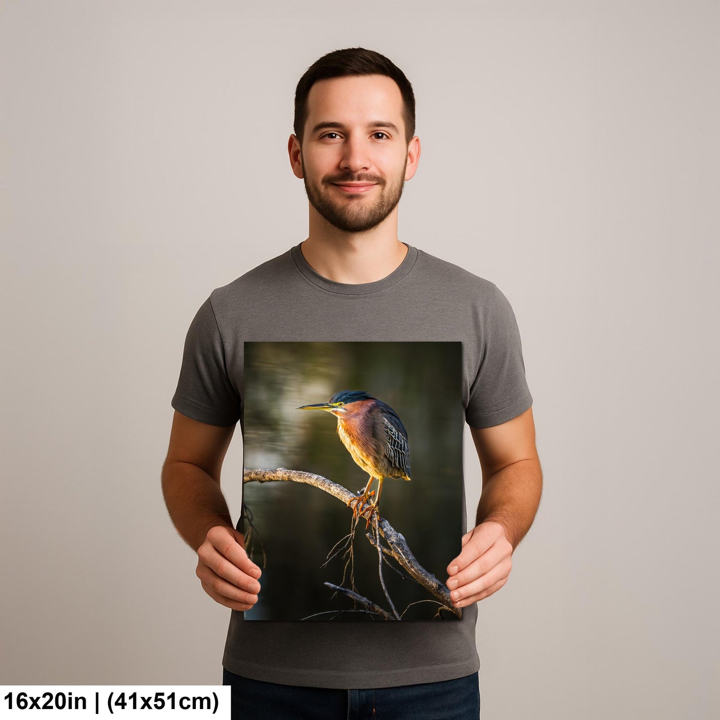 Green Heron Photography Print, Agua Caliente Park Tucson Arizona, Bird Wall Art, Nature Home Decor, Wildlife Gift