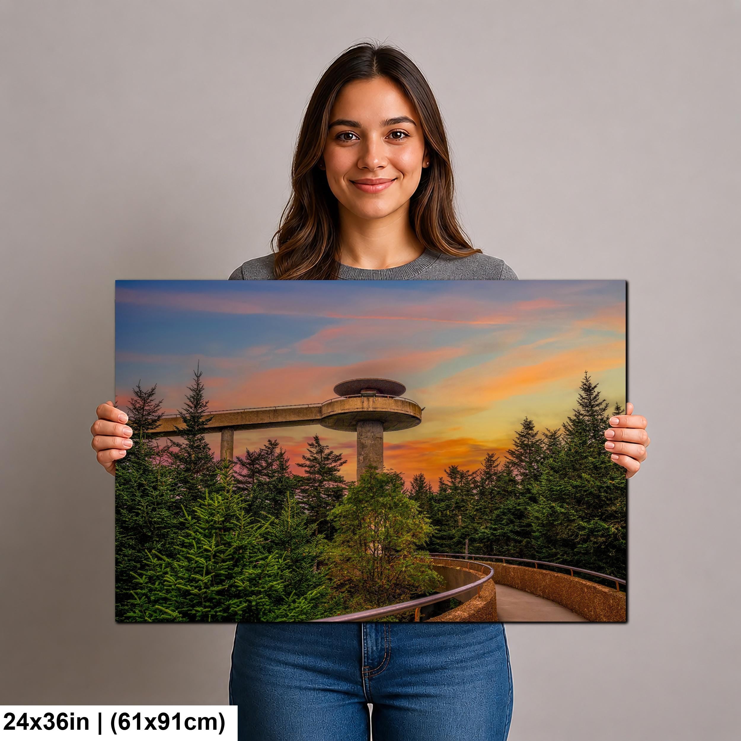 Observation Tower: Great Smoky Mountains National Park TN NC Photo Wall Art