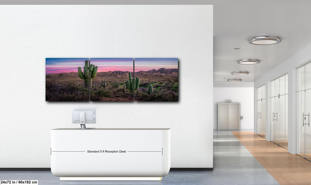 Sonoran Desert Sunset with Saguaros - Catalina State Park Tucson Arizona Photography Print