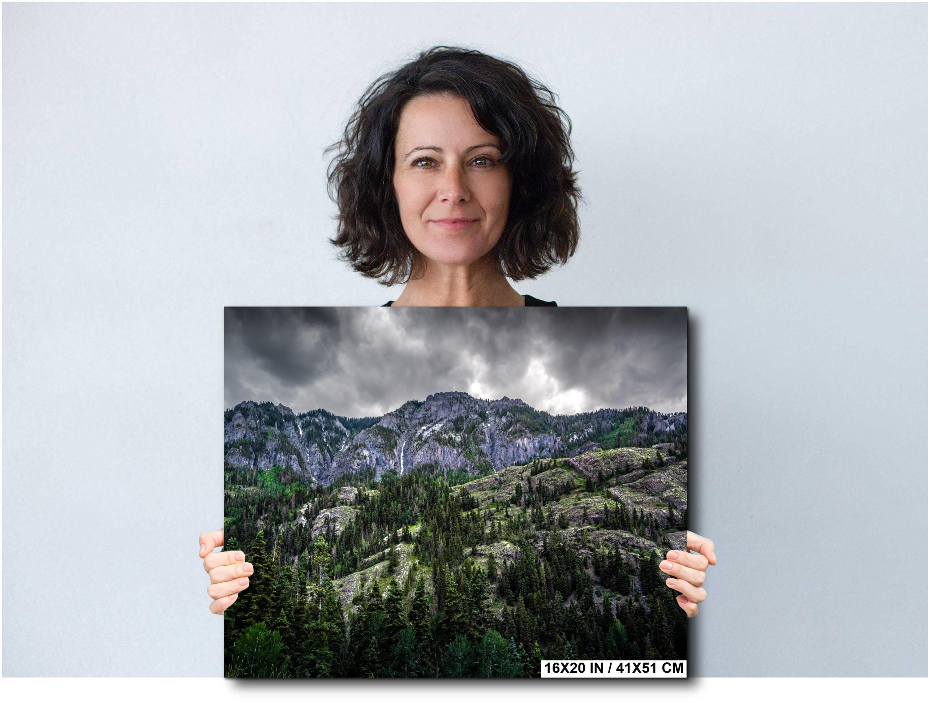 Ouray Colorado Forest Print: San Juan Mountains Landscape Photography