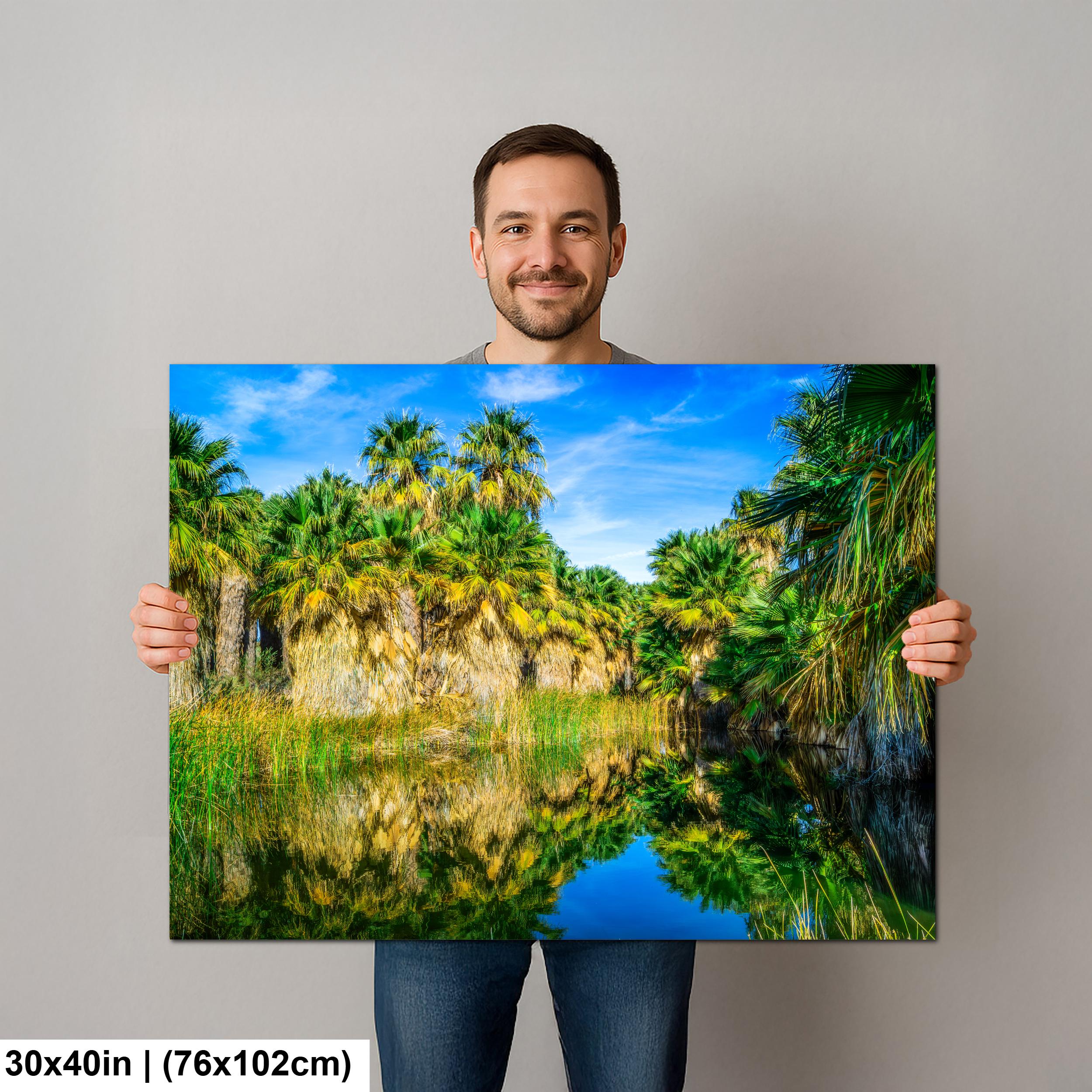 Palm Oasis Reflection Photography Print, Coachella Valley Preserve California, Desert Water Nature Wall Art