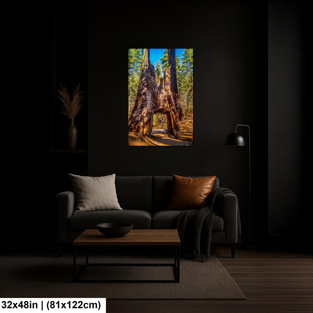Giant Gateway: Tuolumne Grove Yosemite National Park Photography Wall Art