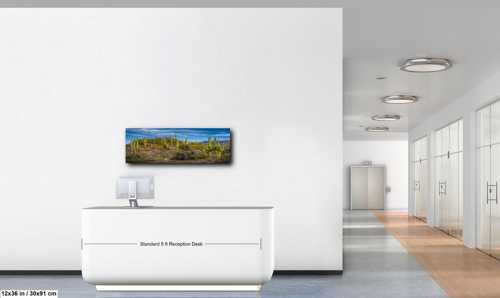 Sonoran Desert Hillside with Saguaros - Catalina State Park Tucson Arizona Photography Print