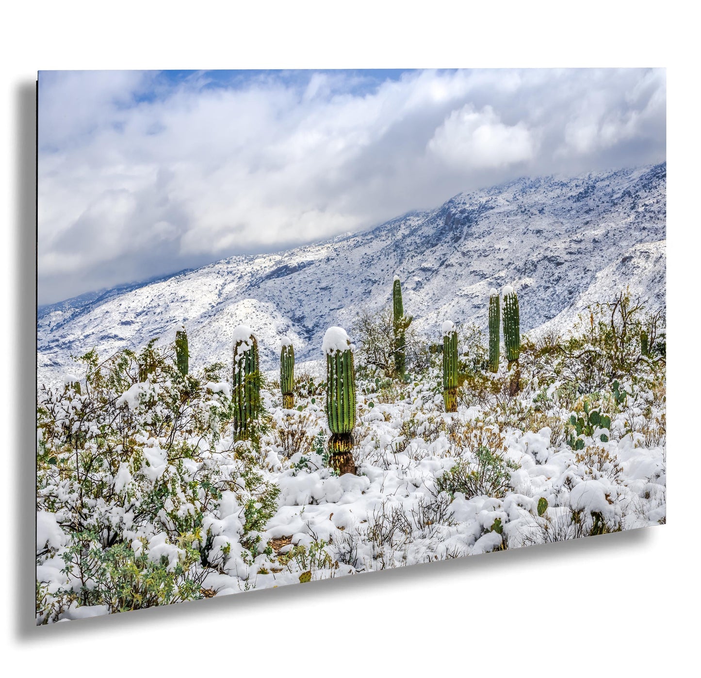 Saguaro Desert Wall Art - Winter Cactus Art Print | Snowy Desert Landscape Decor