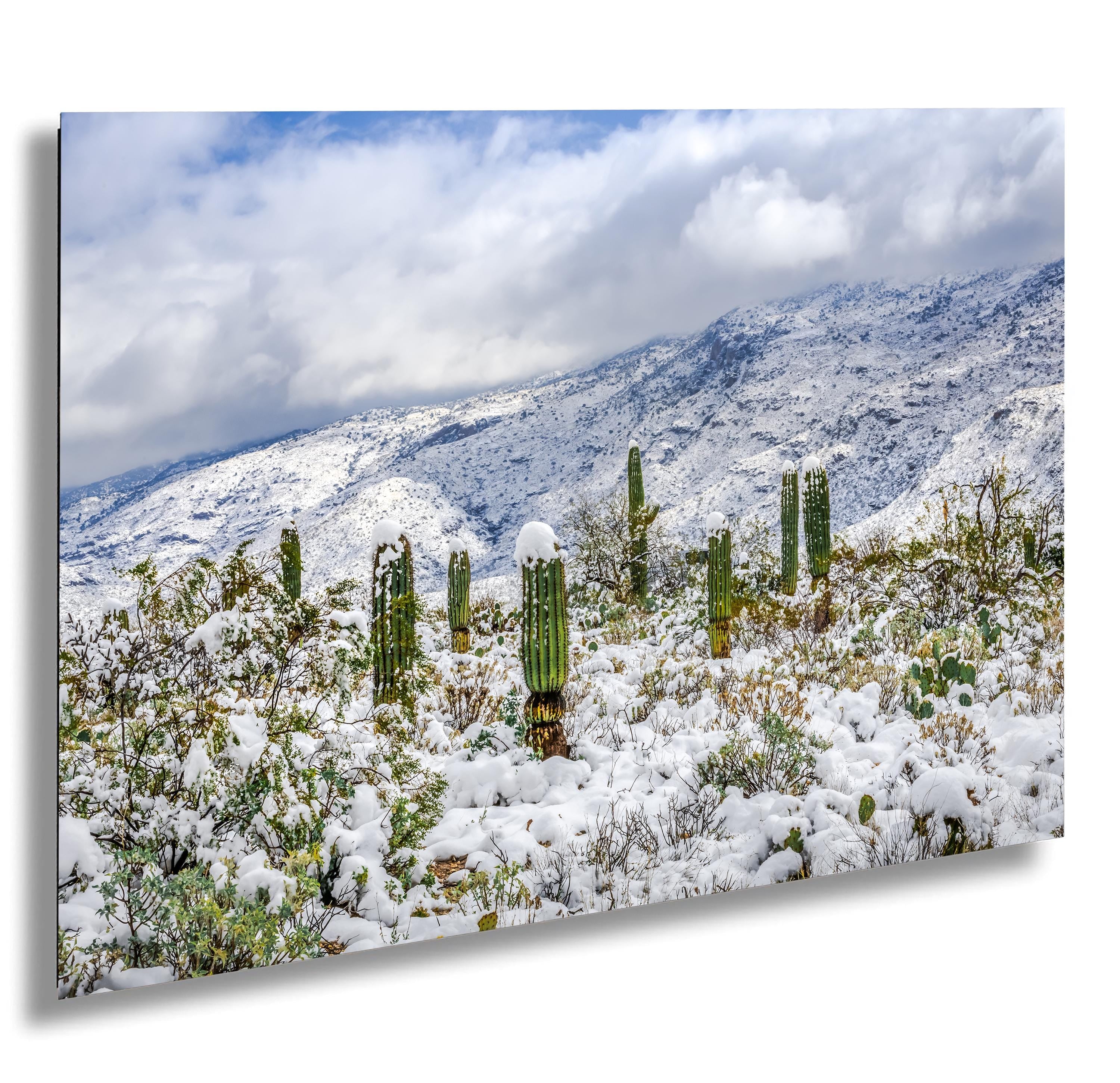Saguaro National Park Winter Snow Cactus Print: Arizona Desert Wall Art