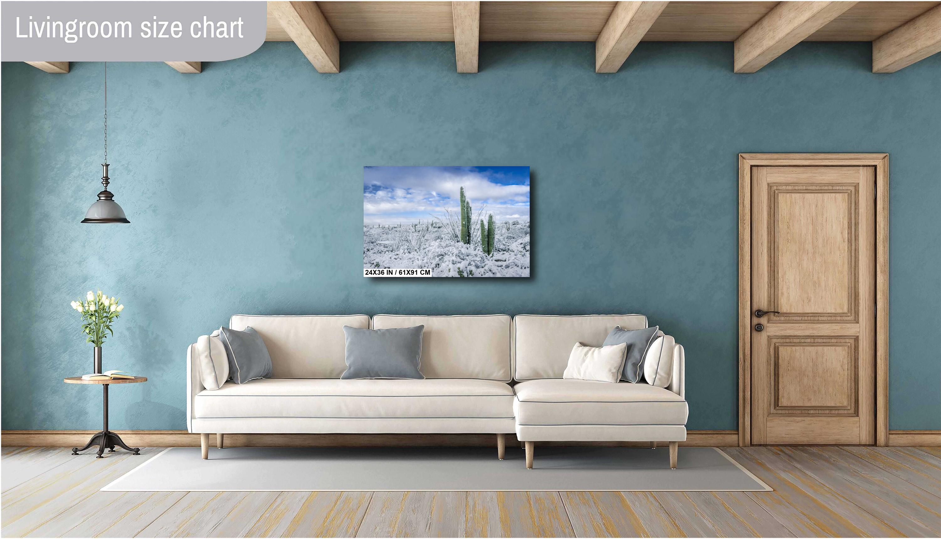 Saguaro National Park Winter Print: Arizona Desert Snow Scene