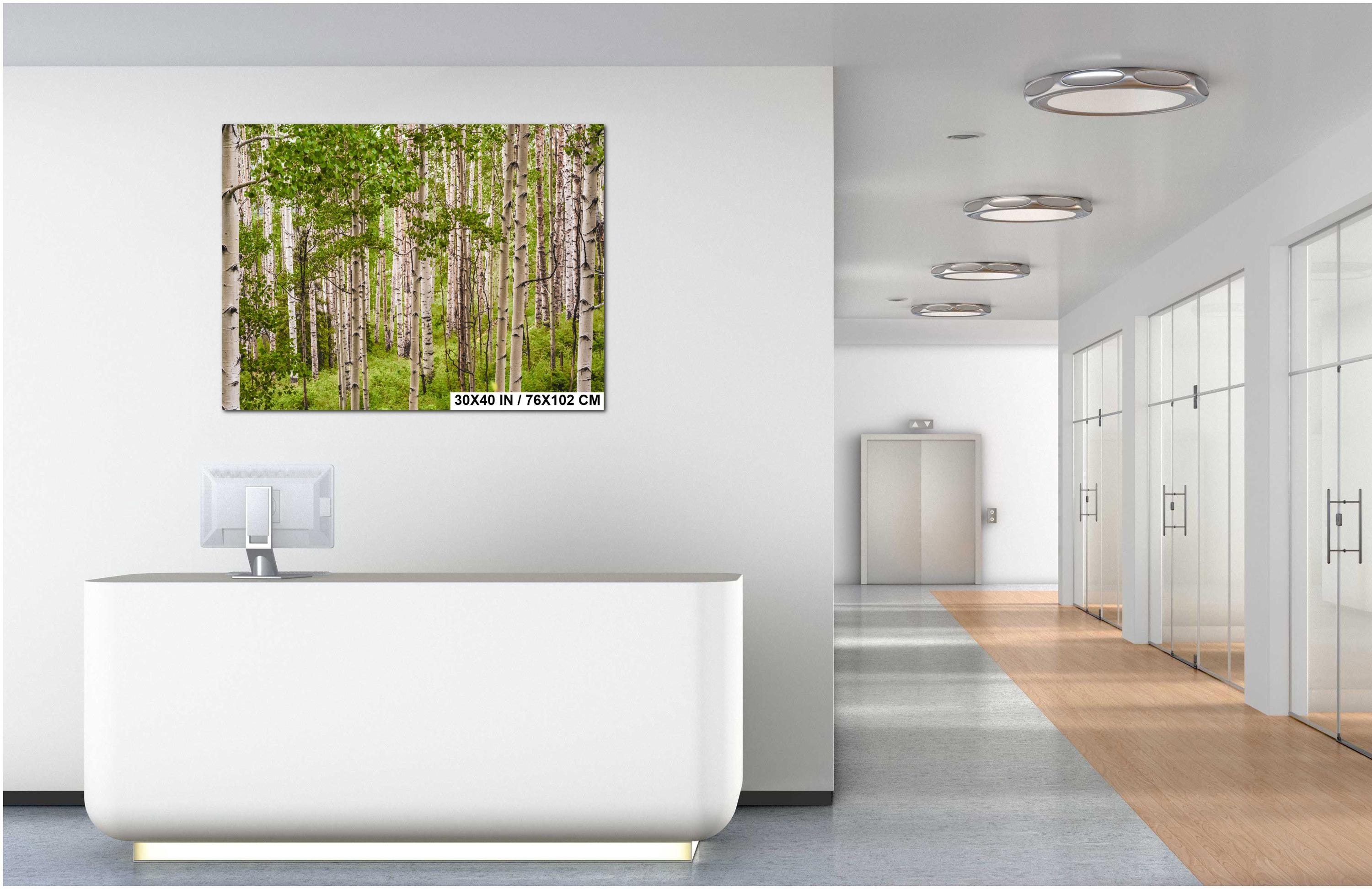 San Juan Mountains Aspen Forest Print: Telluride Colorado Landscape