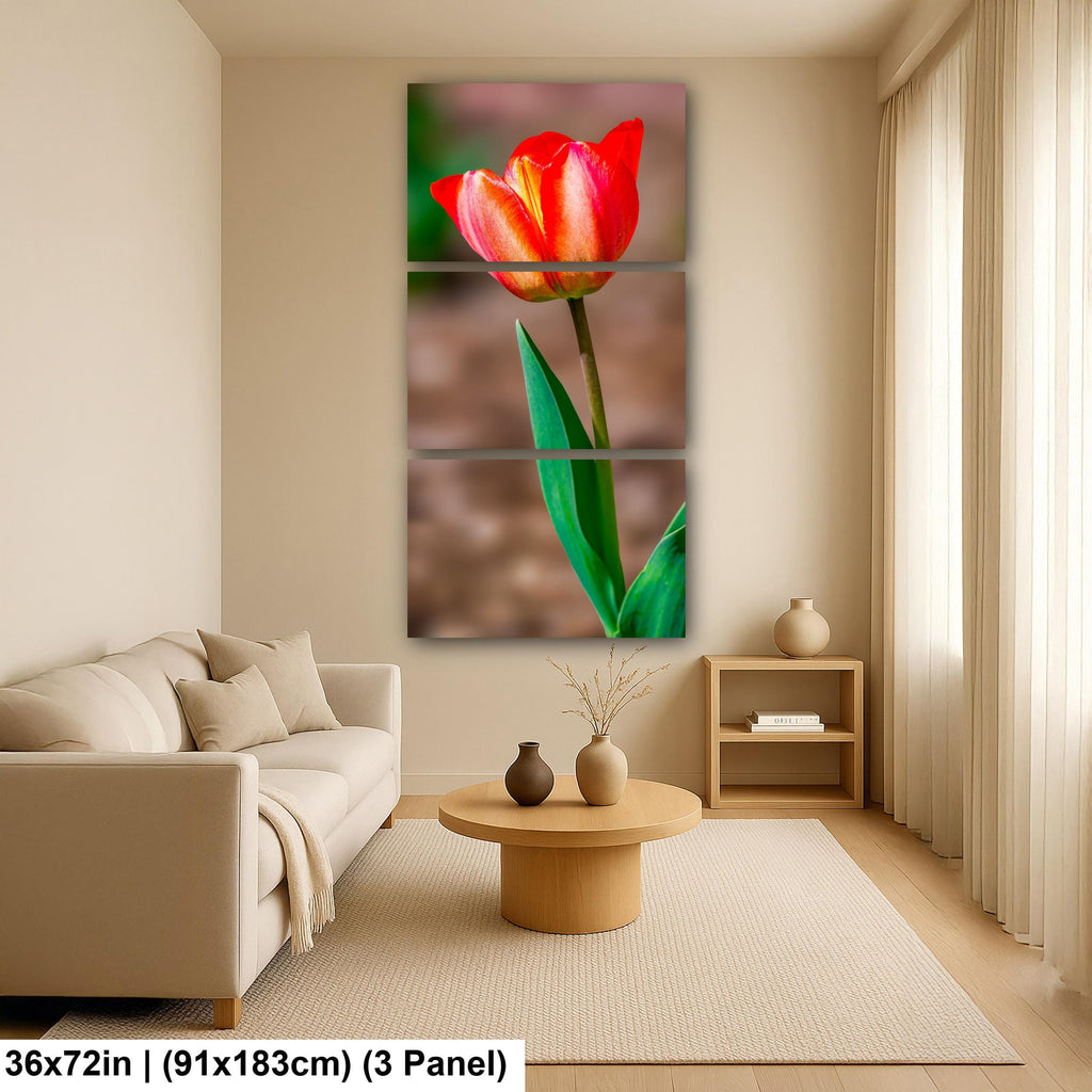 Scarlet Elegance: Red Tulip Flower Botanical Photography Wall Art