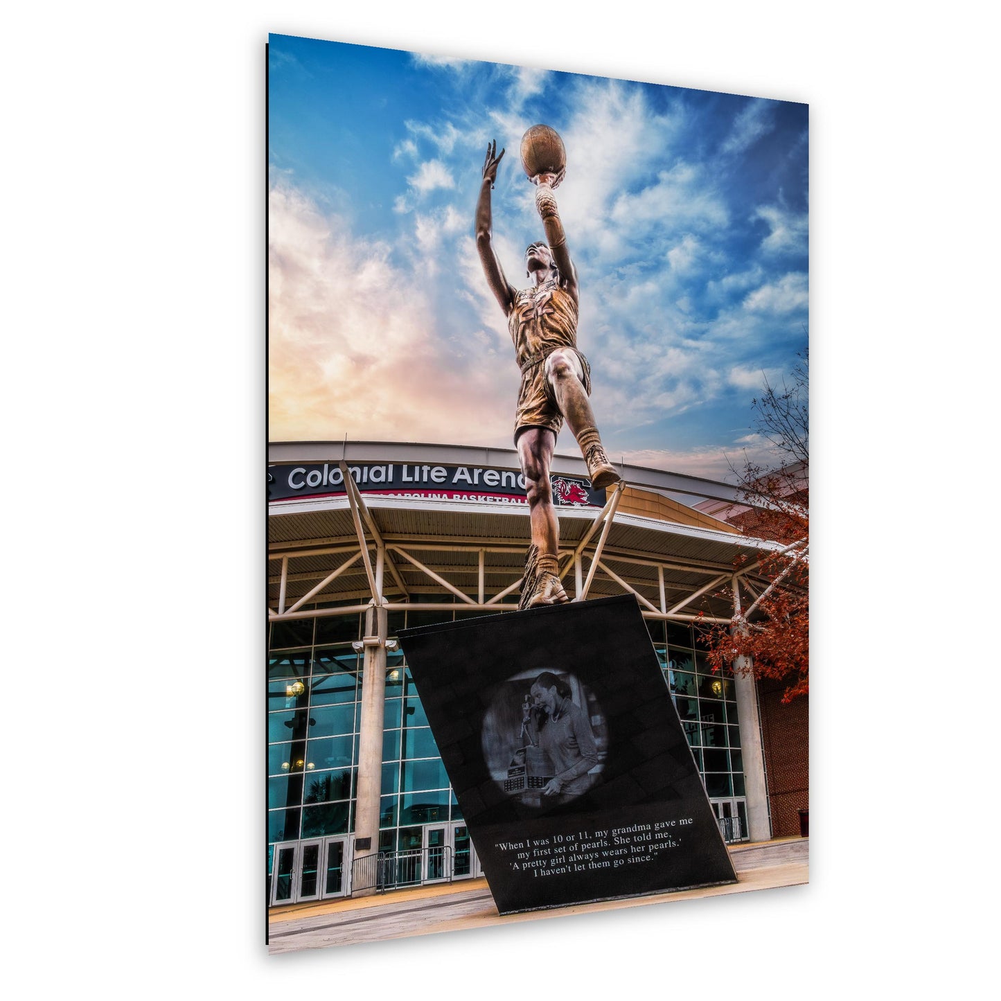 A'ja Wilson Statue Print, Colonial Life Arena USC Columbia Photography Wall Art