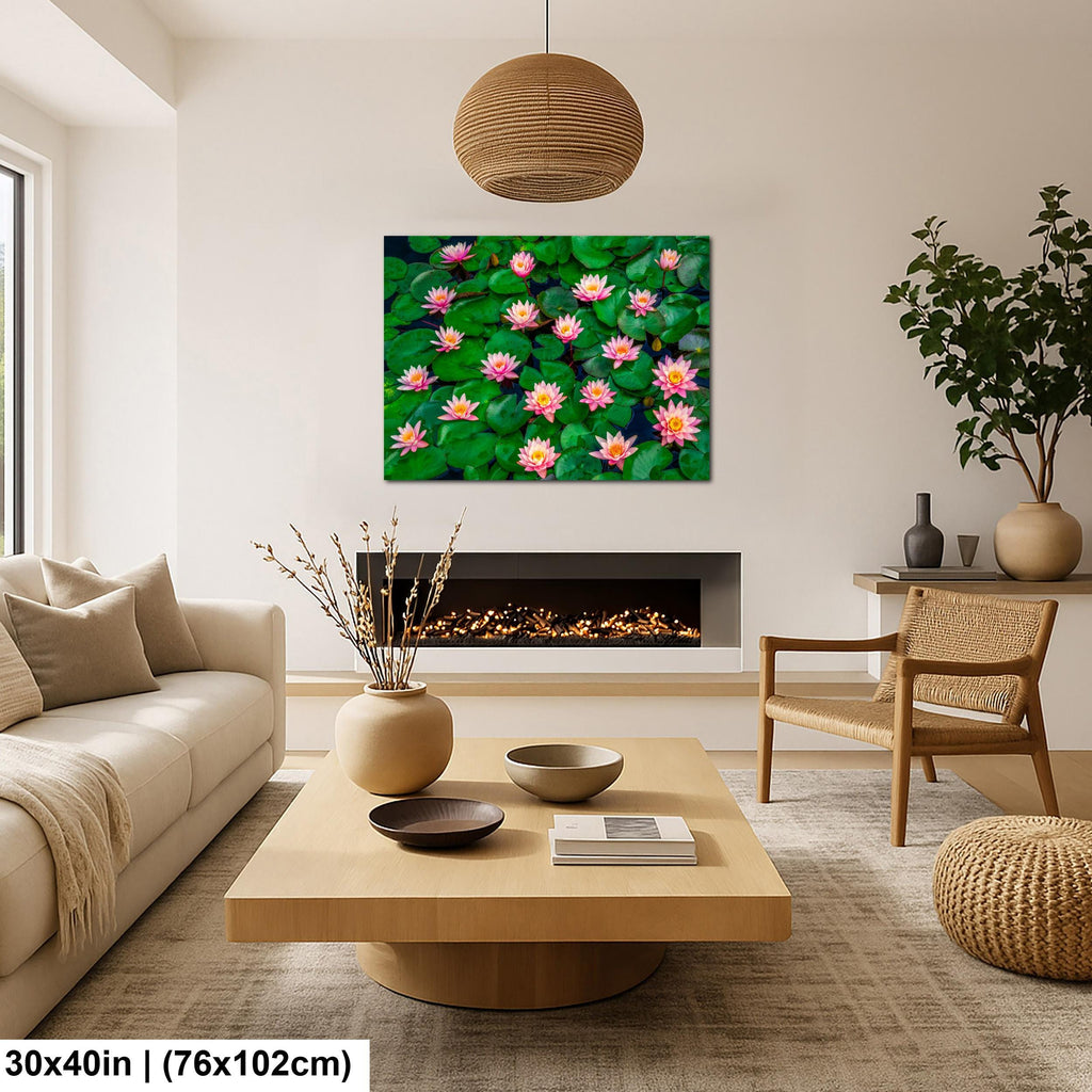 Pink Water Lilies: Botanical Flower Garden Pond Photography Wall Art Print