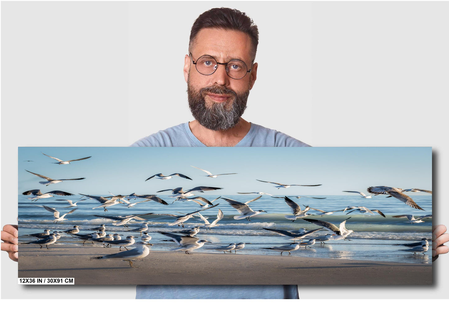 Seagulls of Anna Maria Island Beach, Florida Print Wall Art Bird Wildlife Photography Aluminum/Acrylic/Metal/Canvas Coastal Seascape Decor