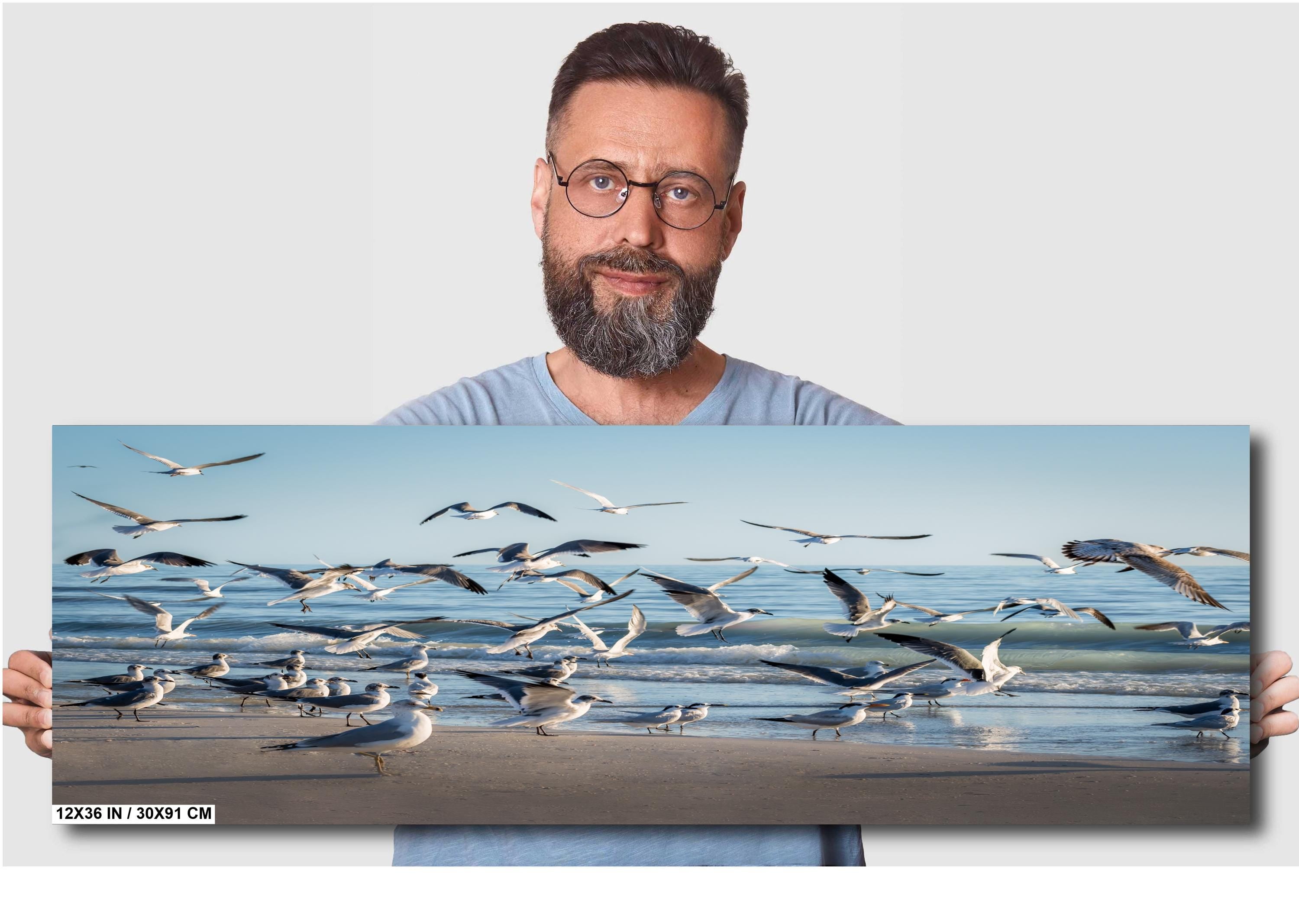 Seagulls of Anna Maria Island Beach, Florida Print Wall Art Bird Wildlife Photography Aluminum/Acrylic/Metal/Canvas Coastal Seascape Decor