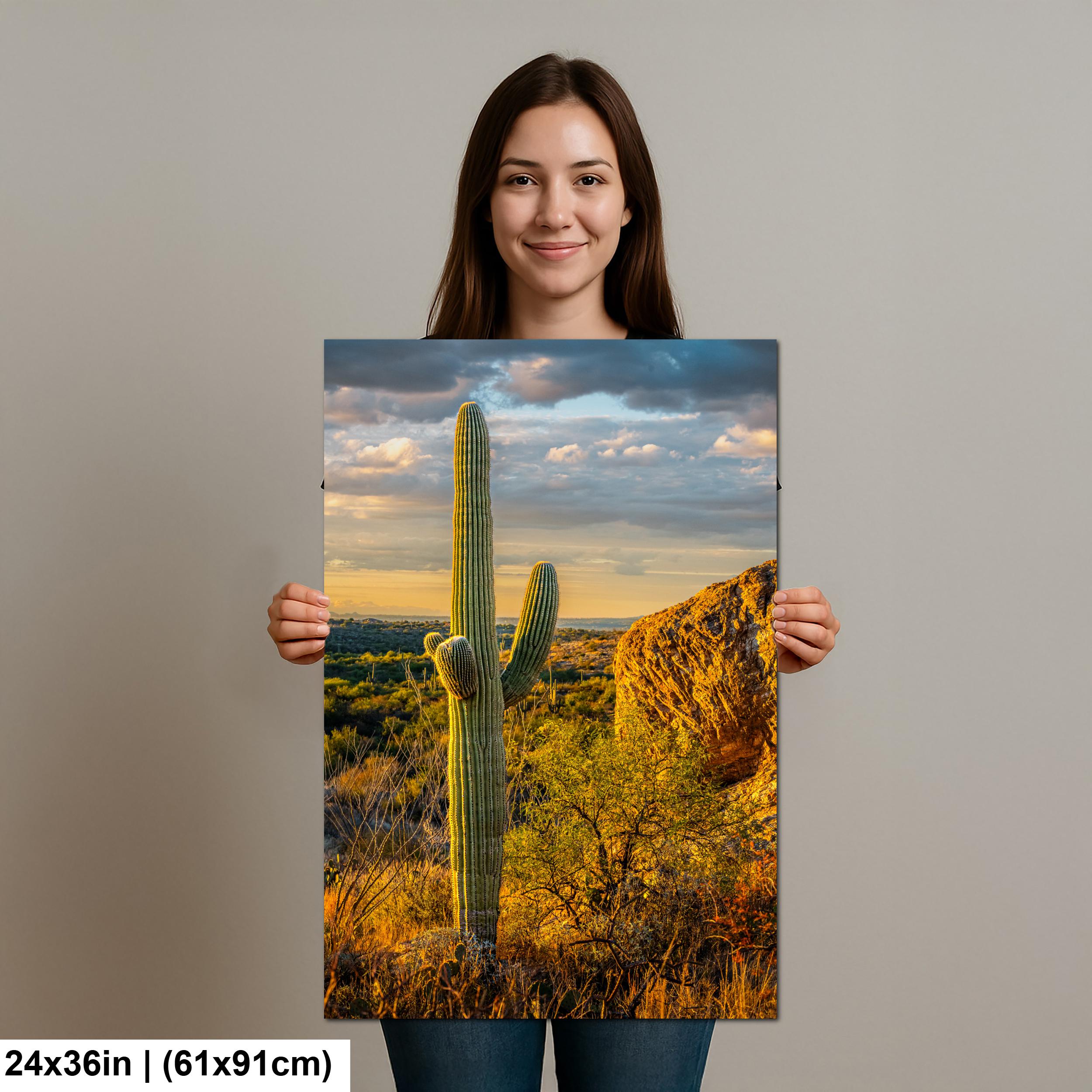 Golden Hour Saguaro Cactus, Sonoran Desert Arizona Sunset Wall Art, Southwestern Landscape Photography Print