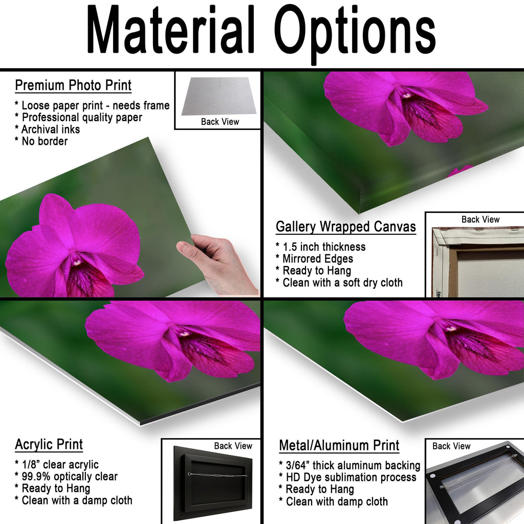 Violet Beauty: Purple Orchid Flower Botanical Floral Photography Wall Art