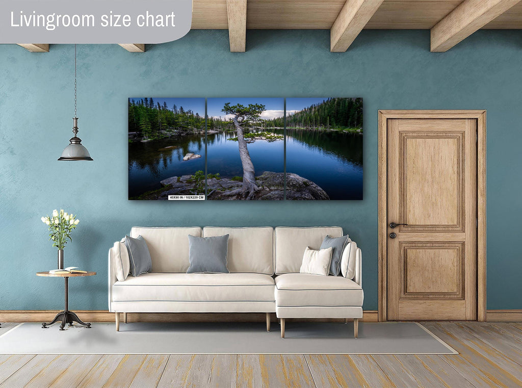 Dream Lake Twisted Tree Print: Rocky Mountain National Park Photography
