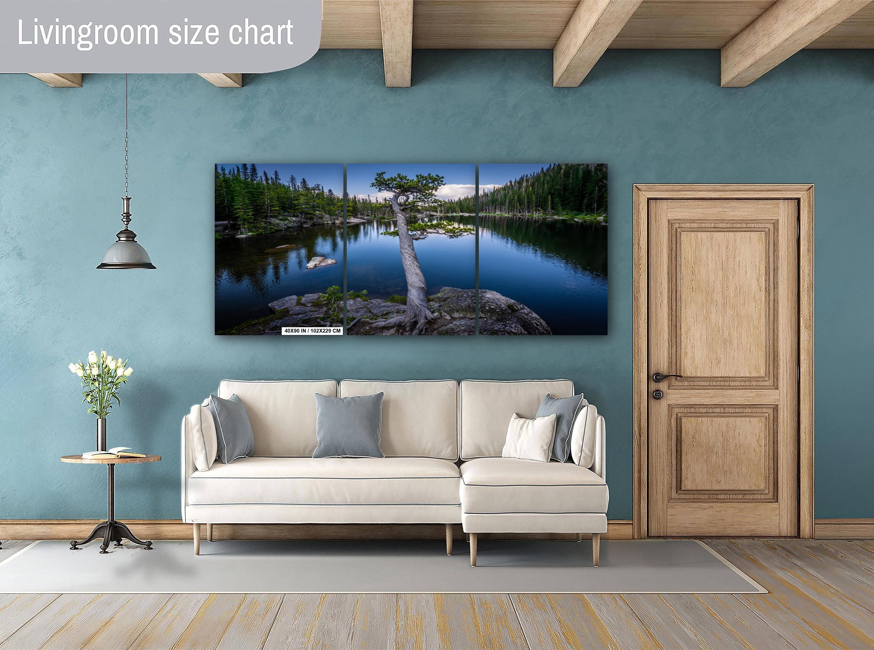 Dream Lake Twisted Tree Print: Rocky Mountain National Park Photography