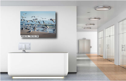 Seagulls of Anna Maria Island Beach, Florida Print Wall Art Bird Wildlife Photography Aluminum/Acrylic/Metal/Canvas Coastal Seascape Decor