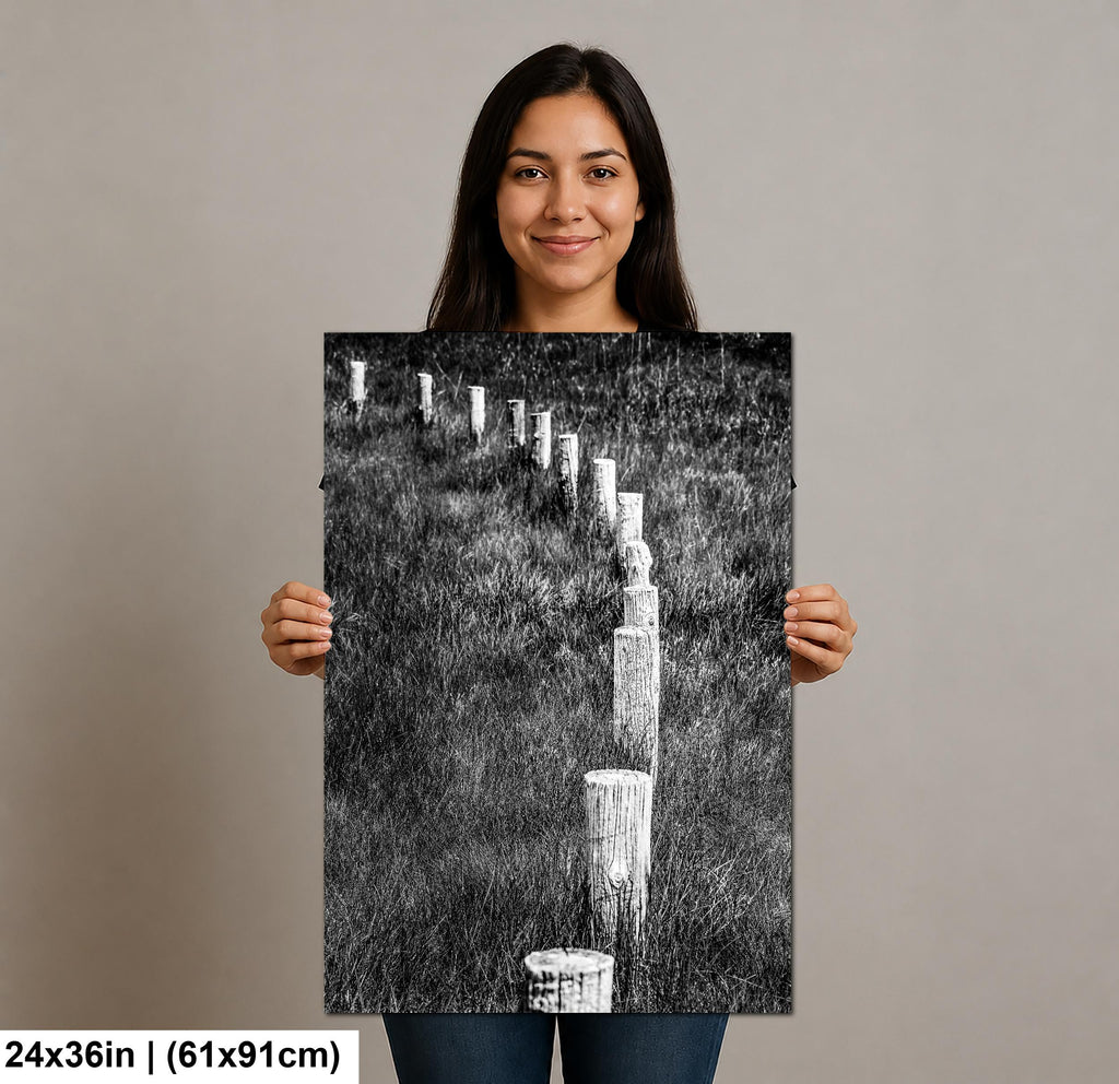 Monochrome Lines: Fence Posts Devils Tower Wyoming Black and White Wall Art