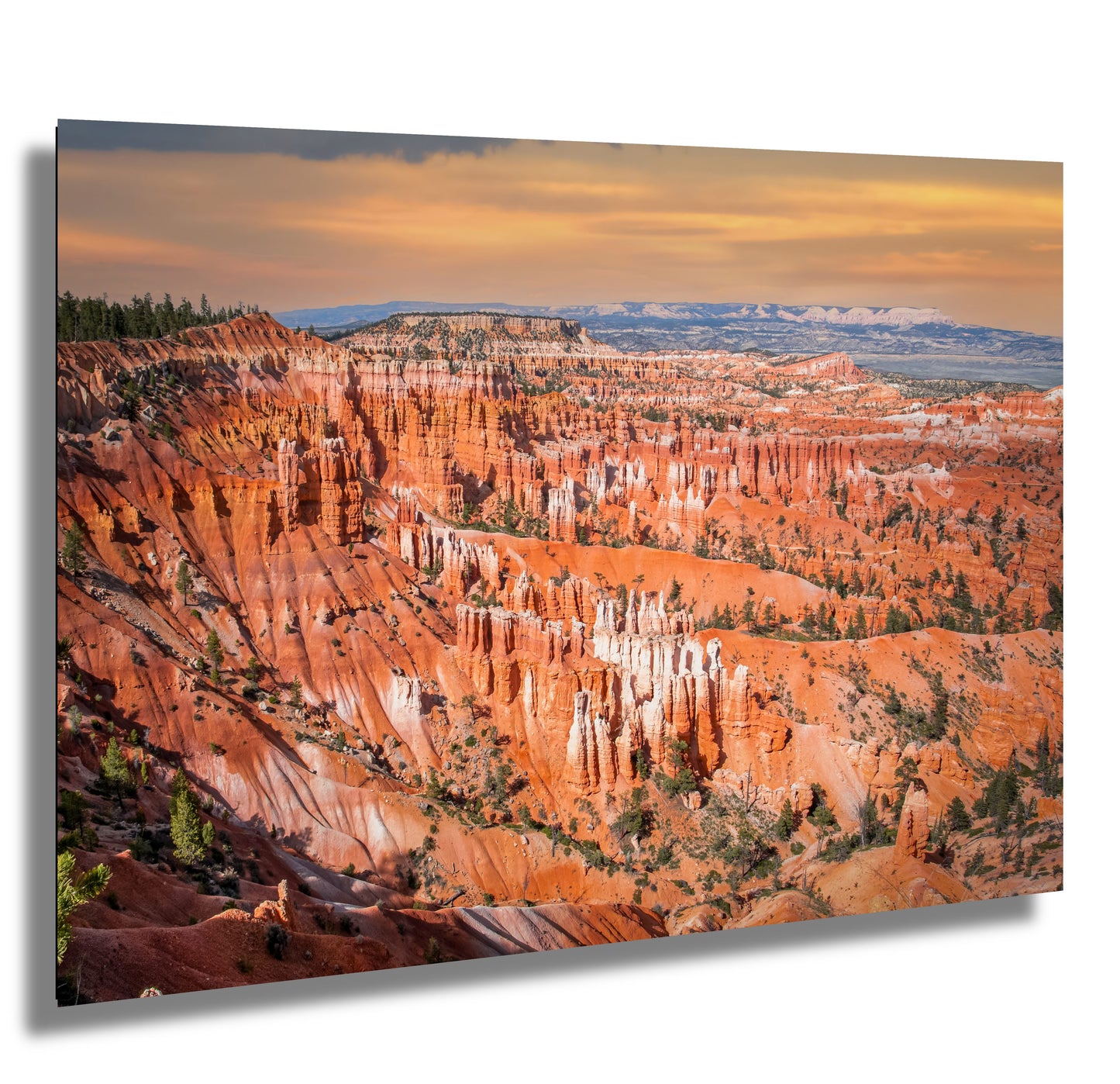 Canyon Kaleidoscope: Bryce Canyon National Park Wall Art Utah Metal Acrylic Print Amphitheater Landscape Photography