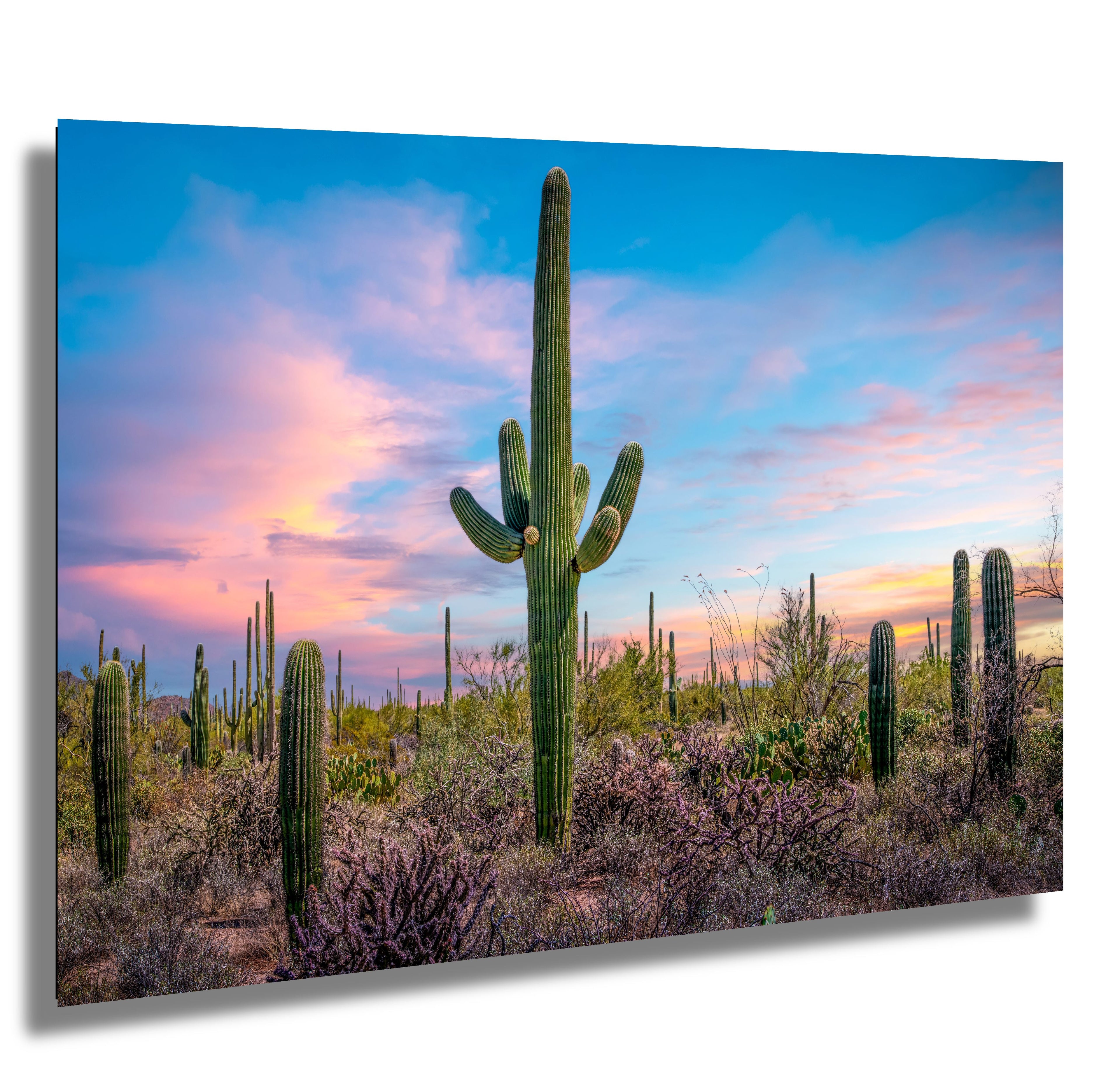 Saguaro Cactus Desert: Arizona Landscape Photography Wall Art