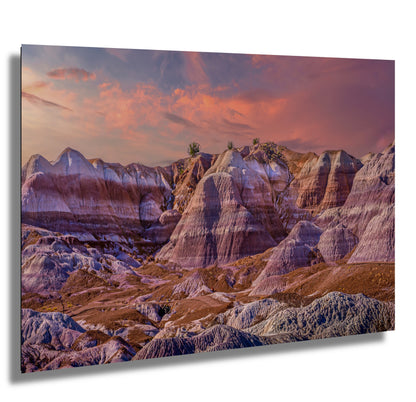 Petrified Forest Arizona Landscape Wall Art Photography