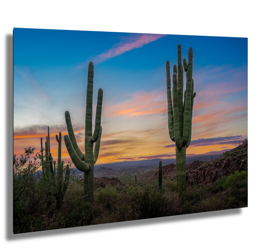 Saguaro Cactus Arizona Desert Landscape Photography Wall Art