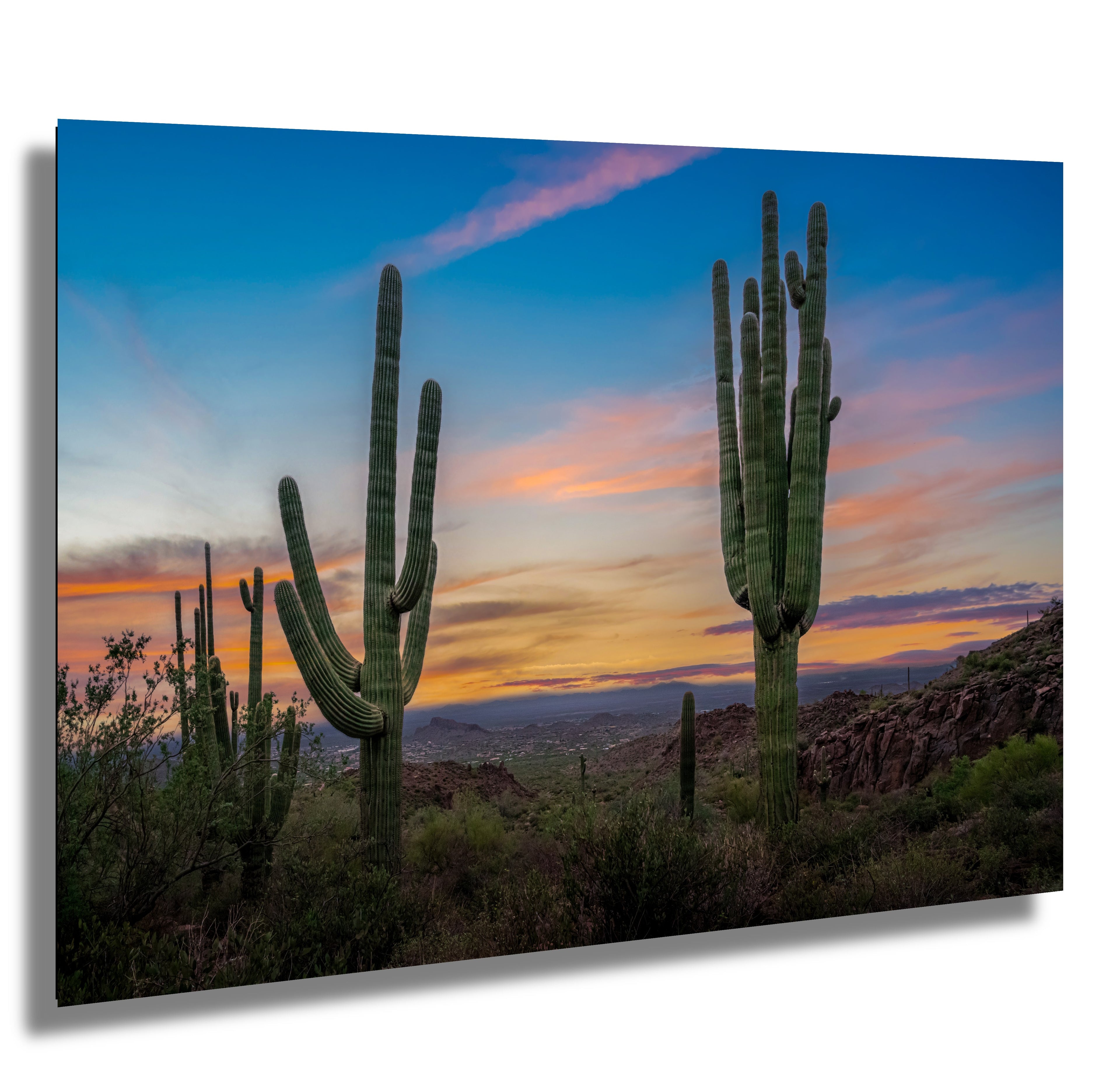 Saguaro Cactus Arizona Desert Landscape Photography Wall Art