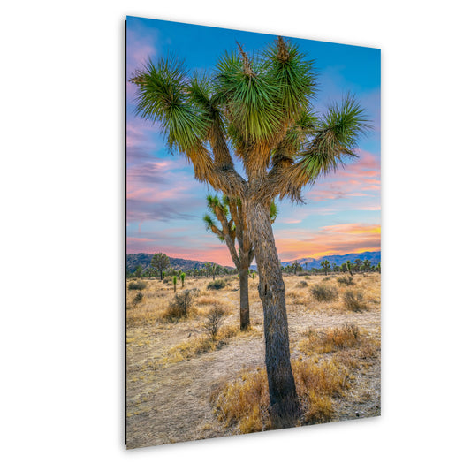 Joshua Tree Wall Art – California Desert Landscape Print | Ready to Hang Canvas
